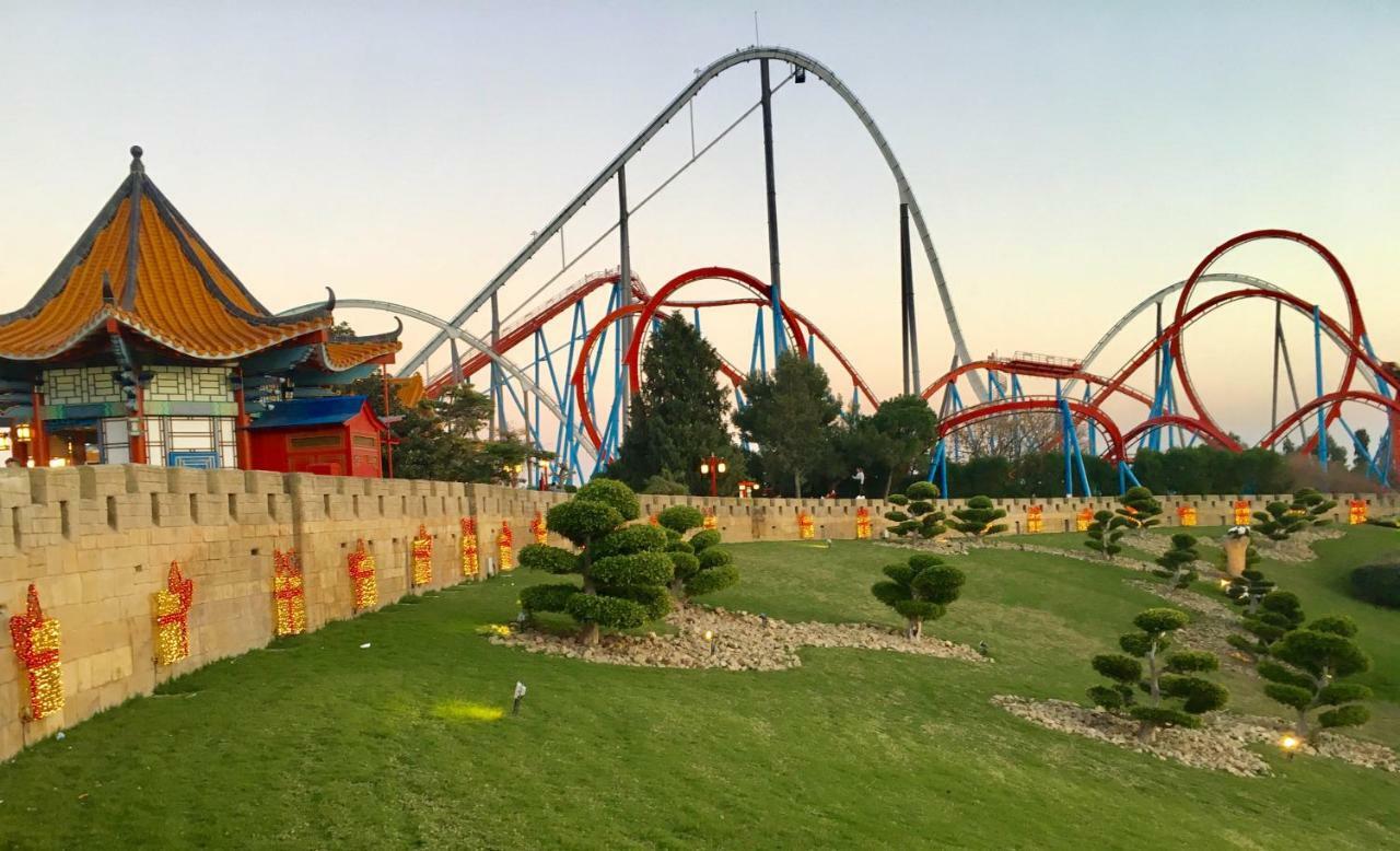 Apartment,872421212:JPEG