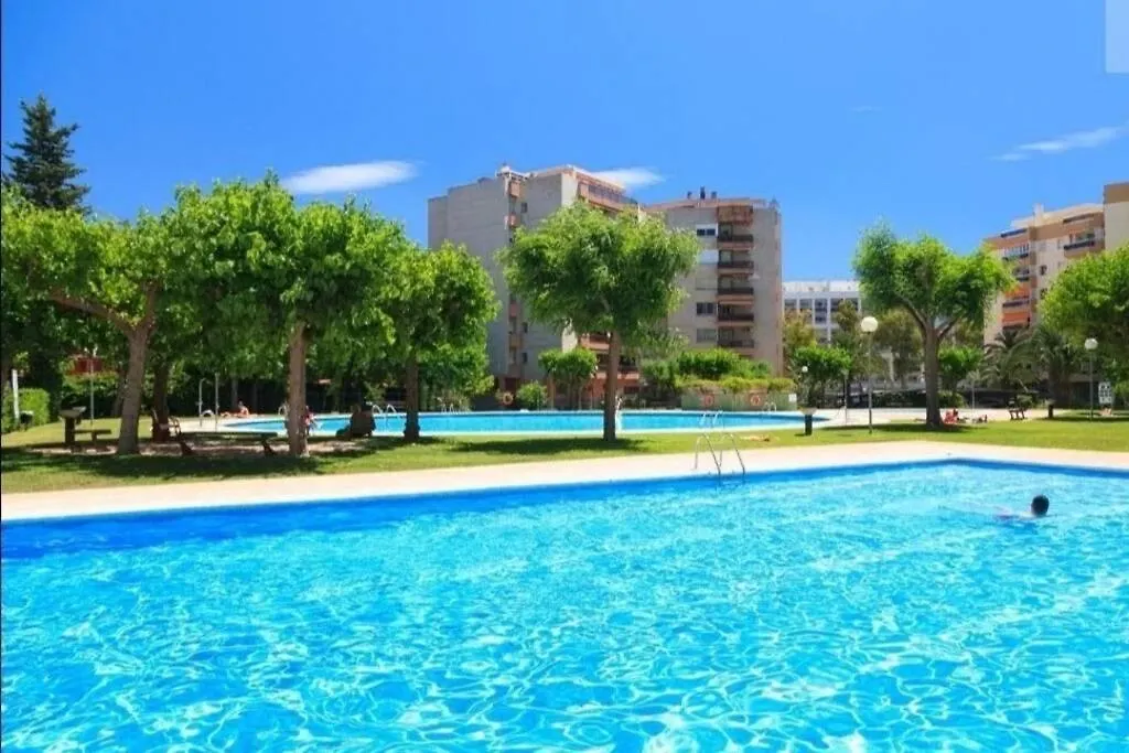 Palm Mediterrani-1
