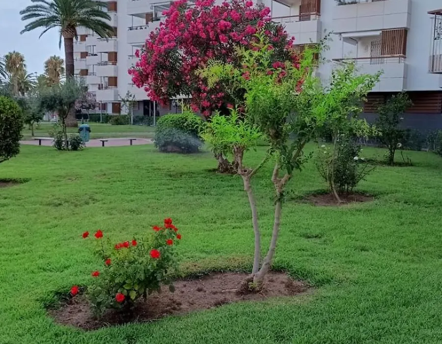 Apartamento F&P primera línea de mar.-1