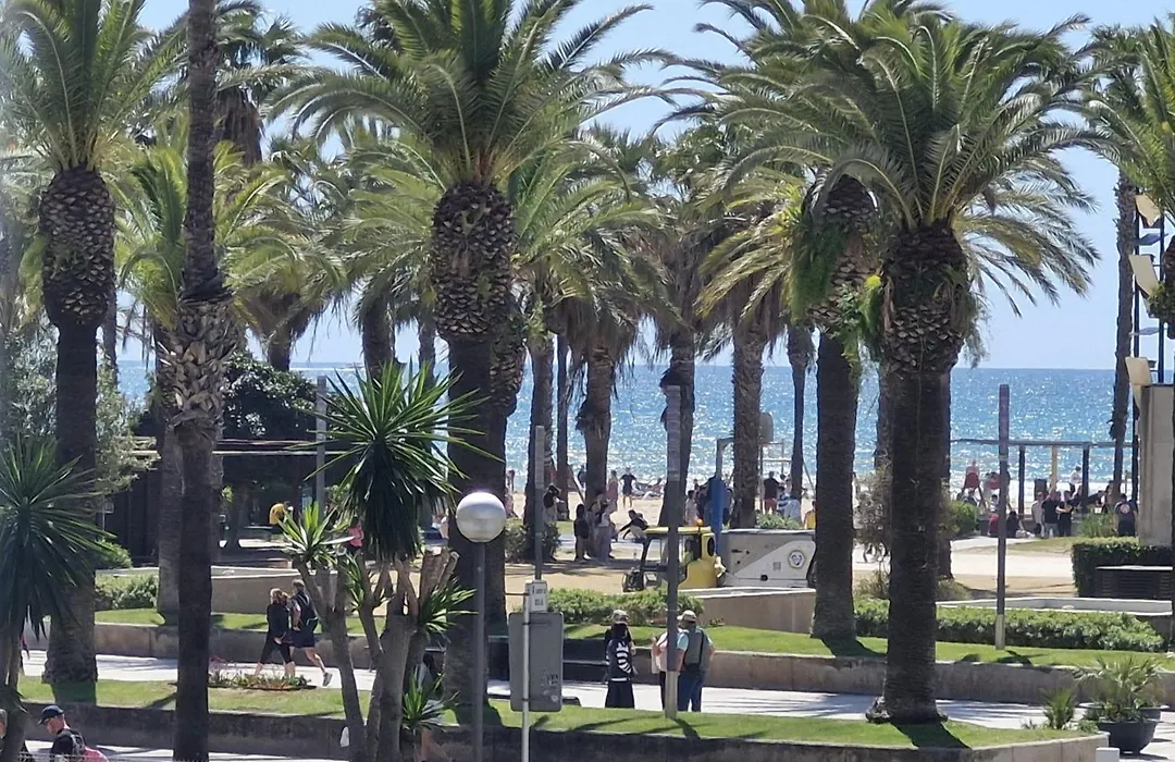 Salou Novelty-1