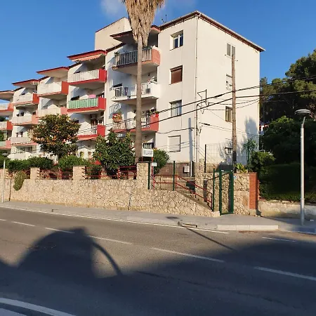 Bellamar-2