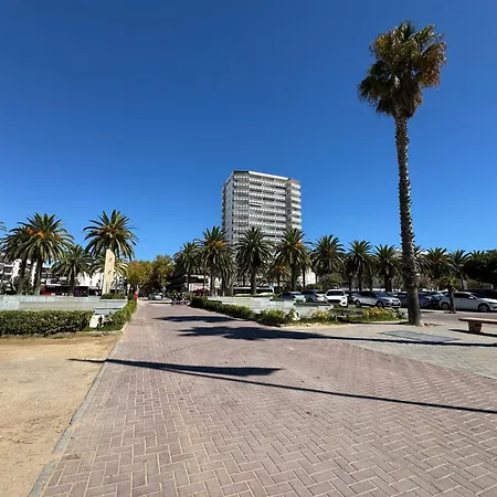 Apartsalou Michelangelo-3