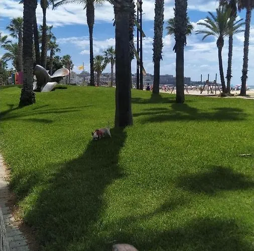 Salou Parque Central acceptant les animaux